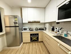 Dover Parkview (D5), Condominium #512887241